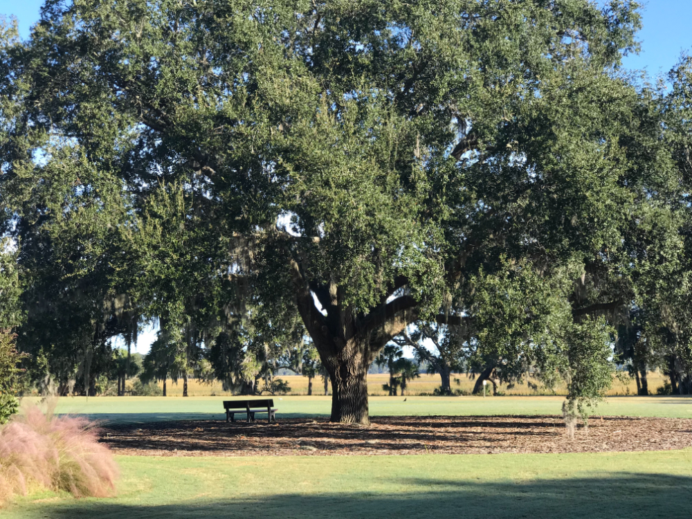 Baynard Park is hiding in plain sight