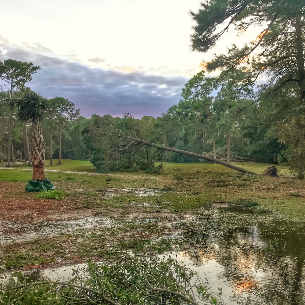 Hurricane Matthew is gone!