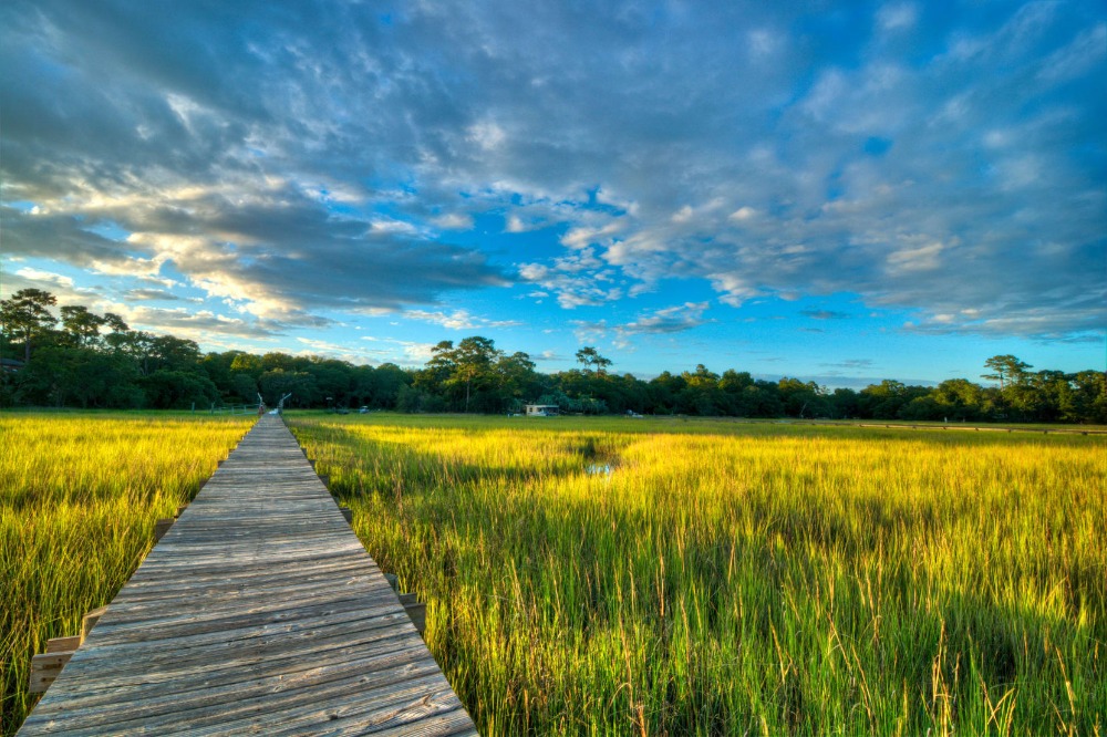 Things are BOOMING in the Hilton Head Area!