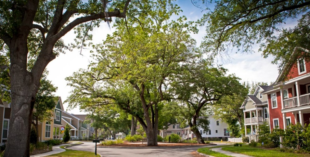 Tips for Buying a Healthy Bluffton Home